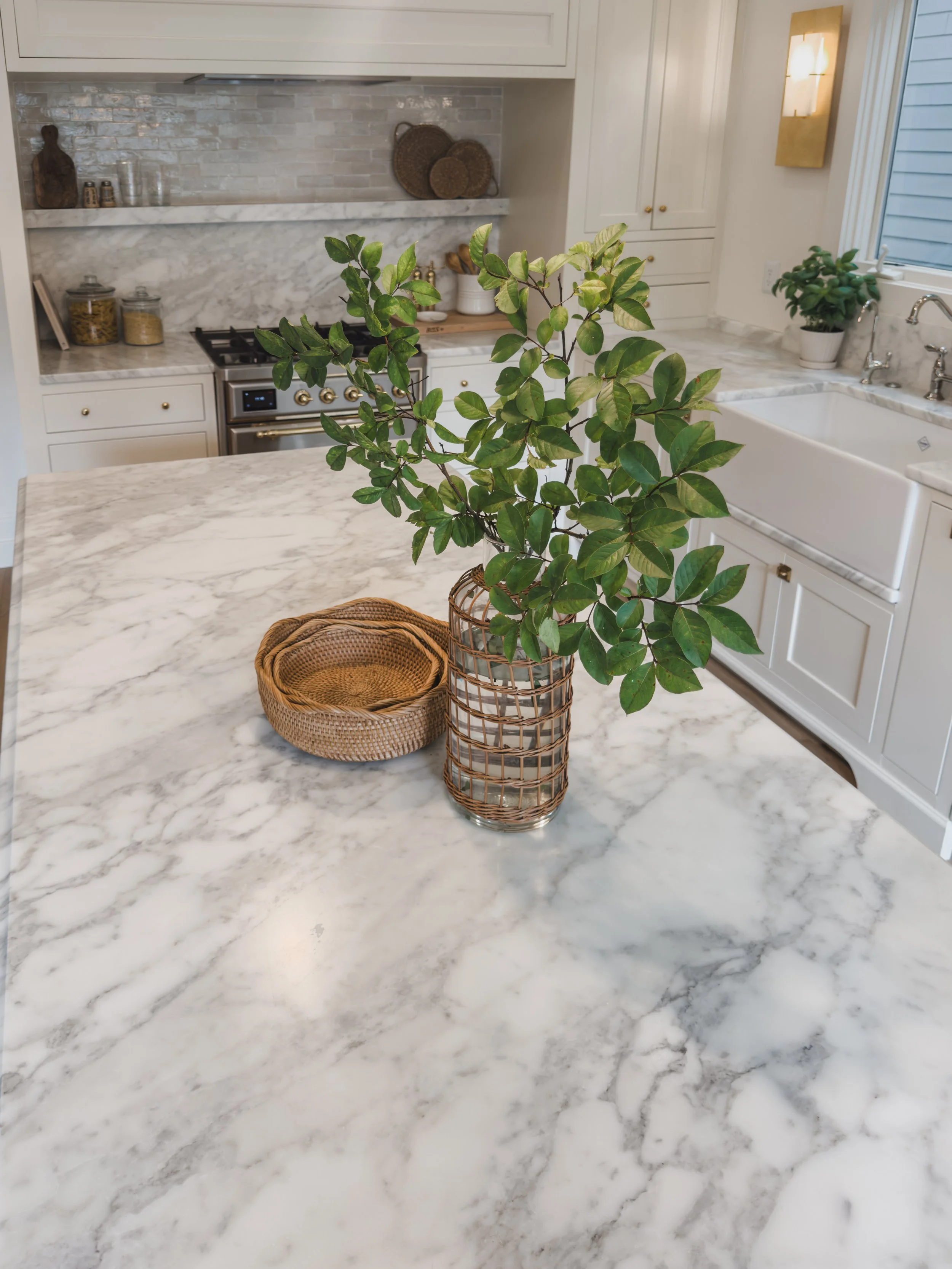 Photo Jul 25 2024, 11 18 08 AM.jpg