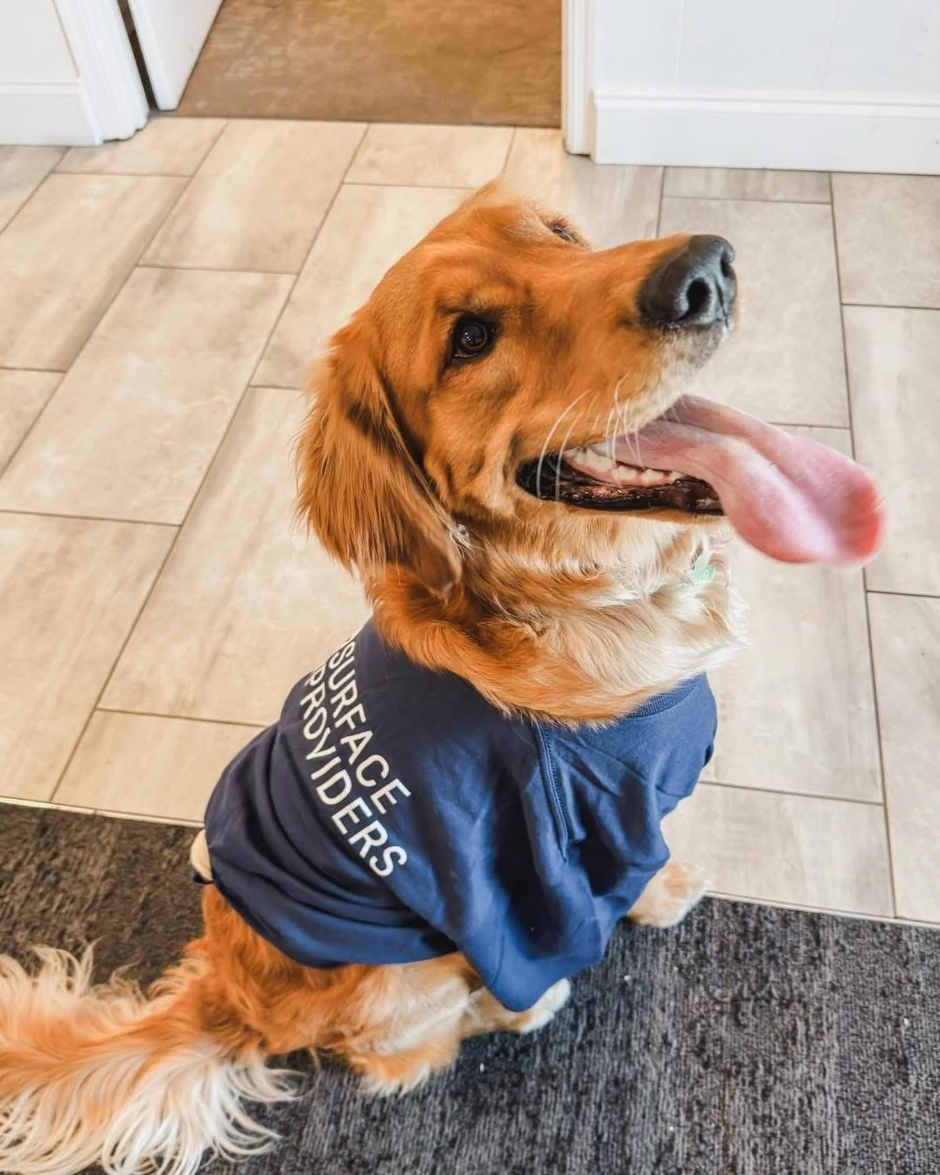 CAPTION THIS! ⬆️🐶

_____

📍SHOWROOM &amp; SLAB GALLERY:
845 McFarland Pkwy, Alpharetta, GA

FOR APPOINTMENTS:
&bull; Call: 470-354-3850
&bull; Email: info@surfaceproviders.com