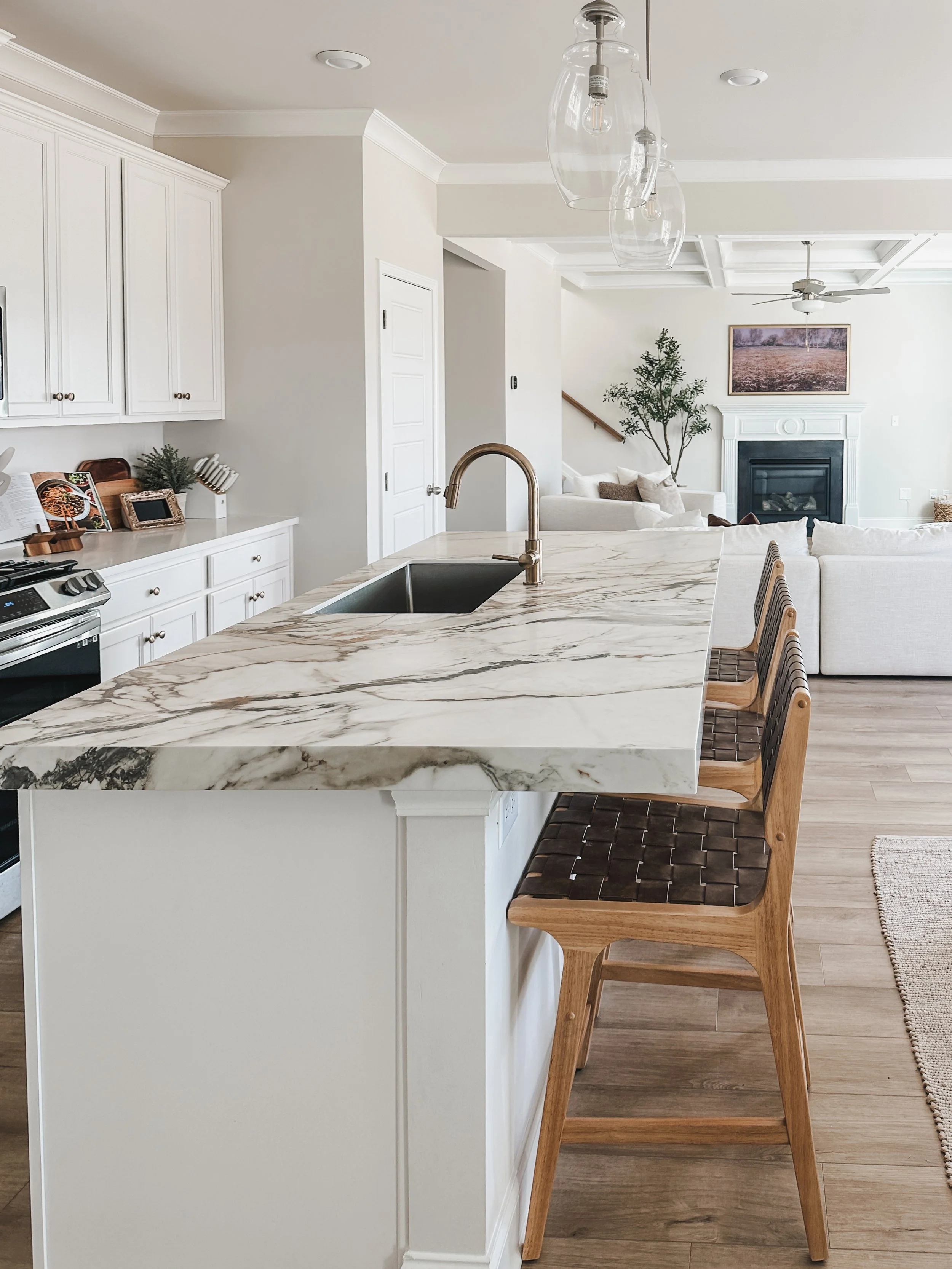 Photo Jan 14 2024, 2 57 13 PM.jpg