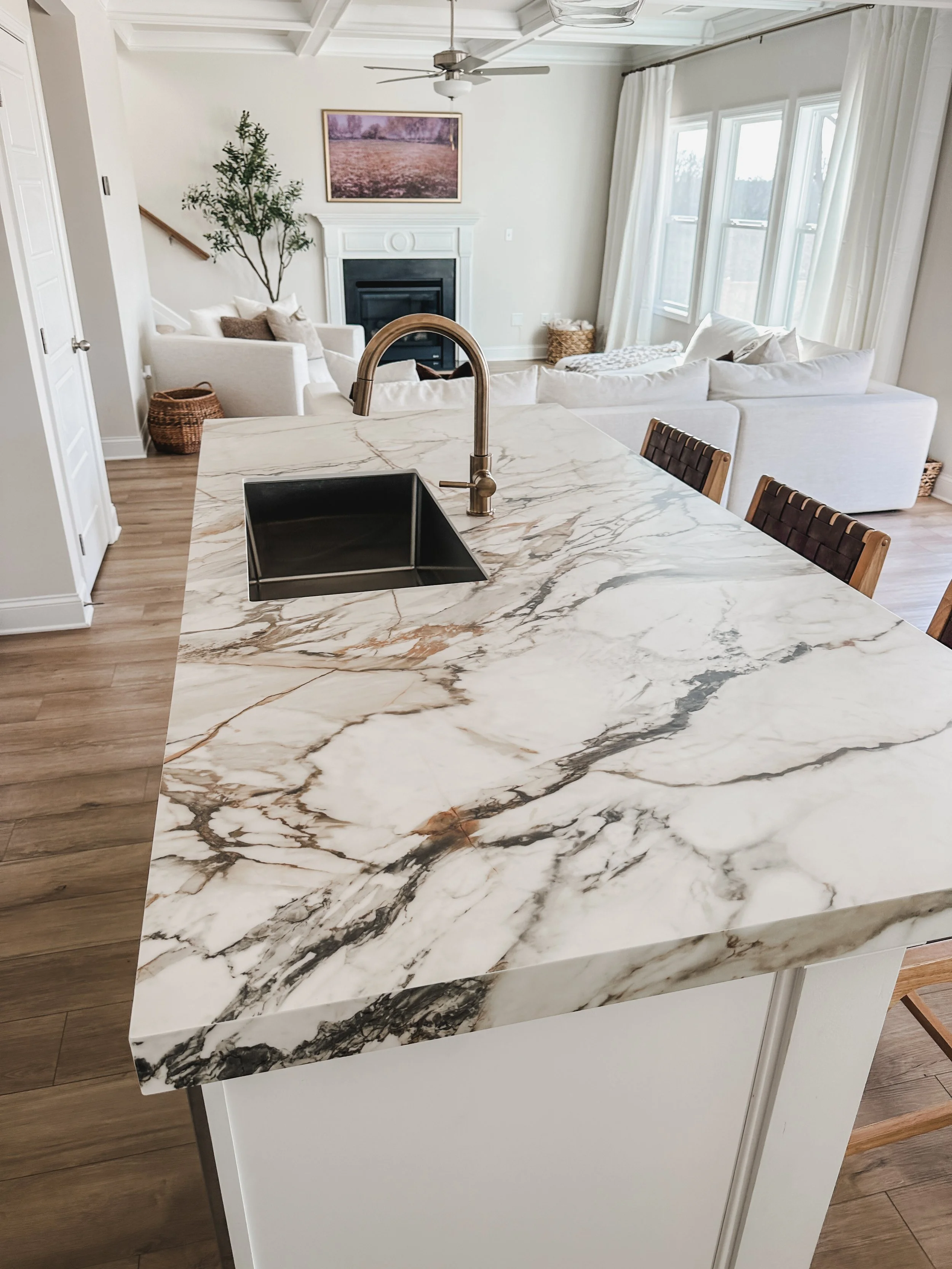 Photo Jan 14 2024, 3 01 11 PM.jpg