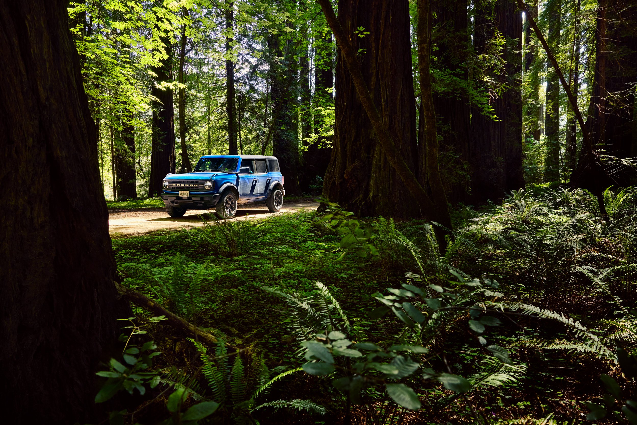 Anthony_Dias_Automotive_052.jpg