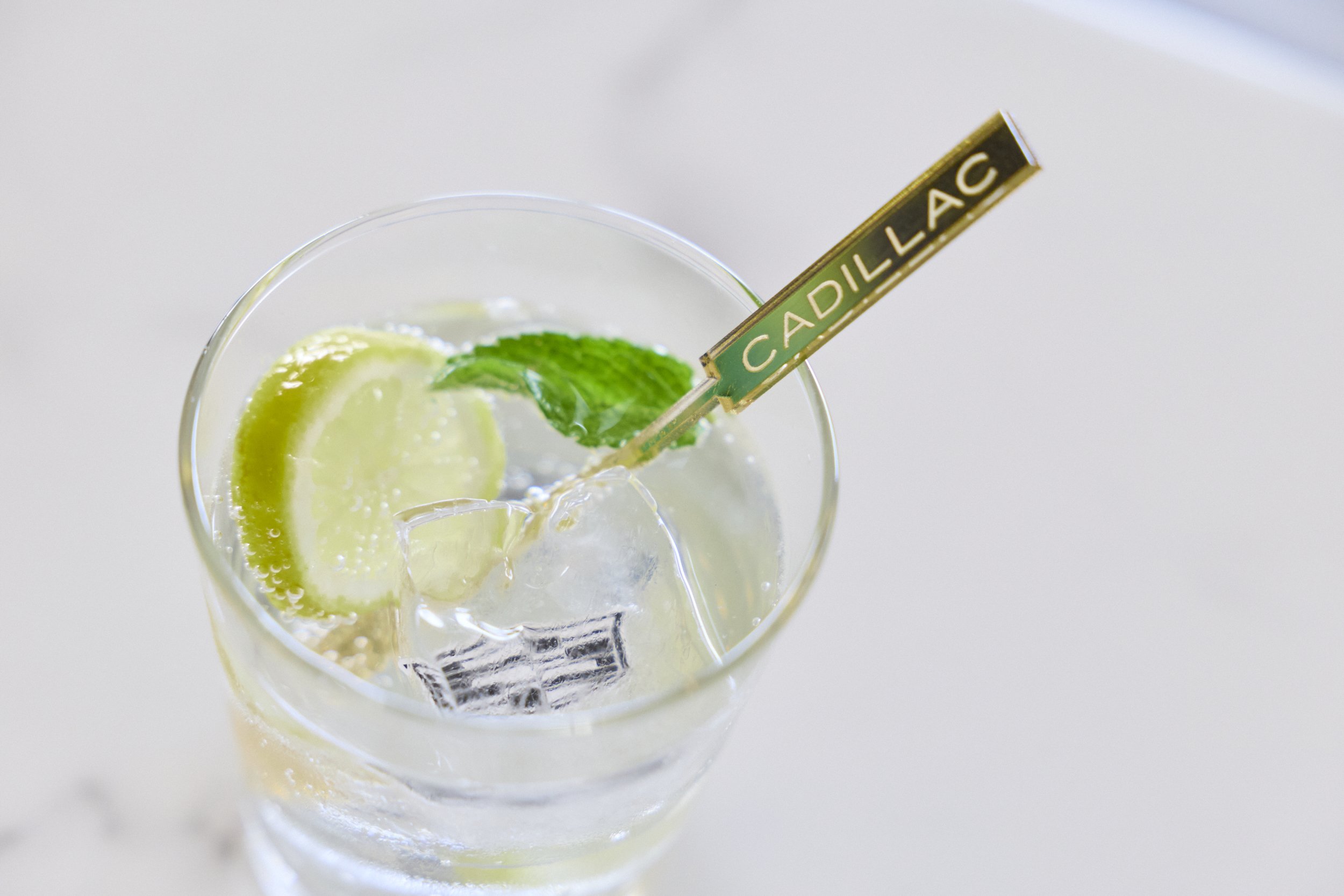 Anthony_Dias_Cadillac_PGA_125.jpg