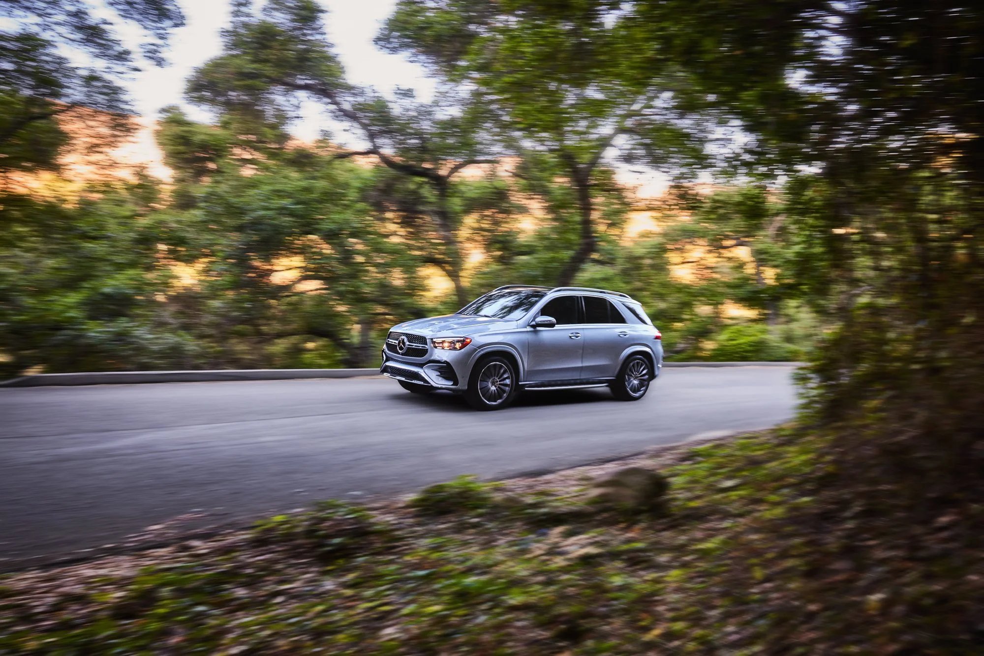 Anthony_Dias_Merc_GLE_15.jpg