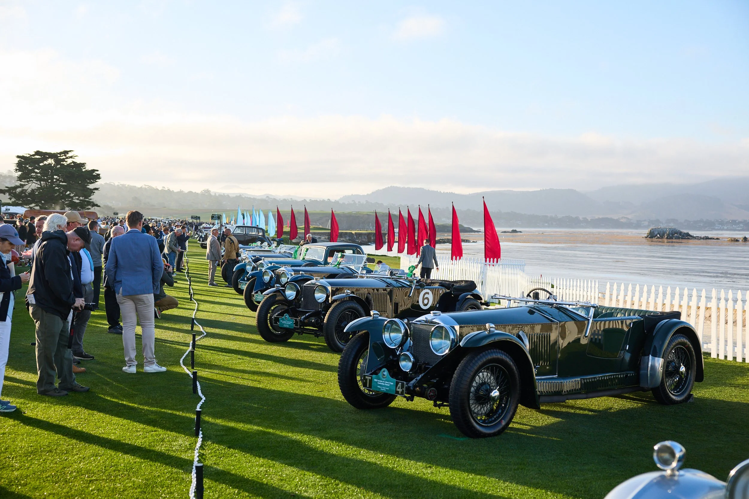 Concourse de Elegance
