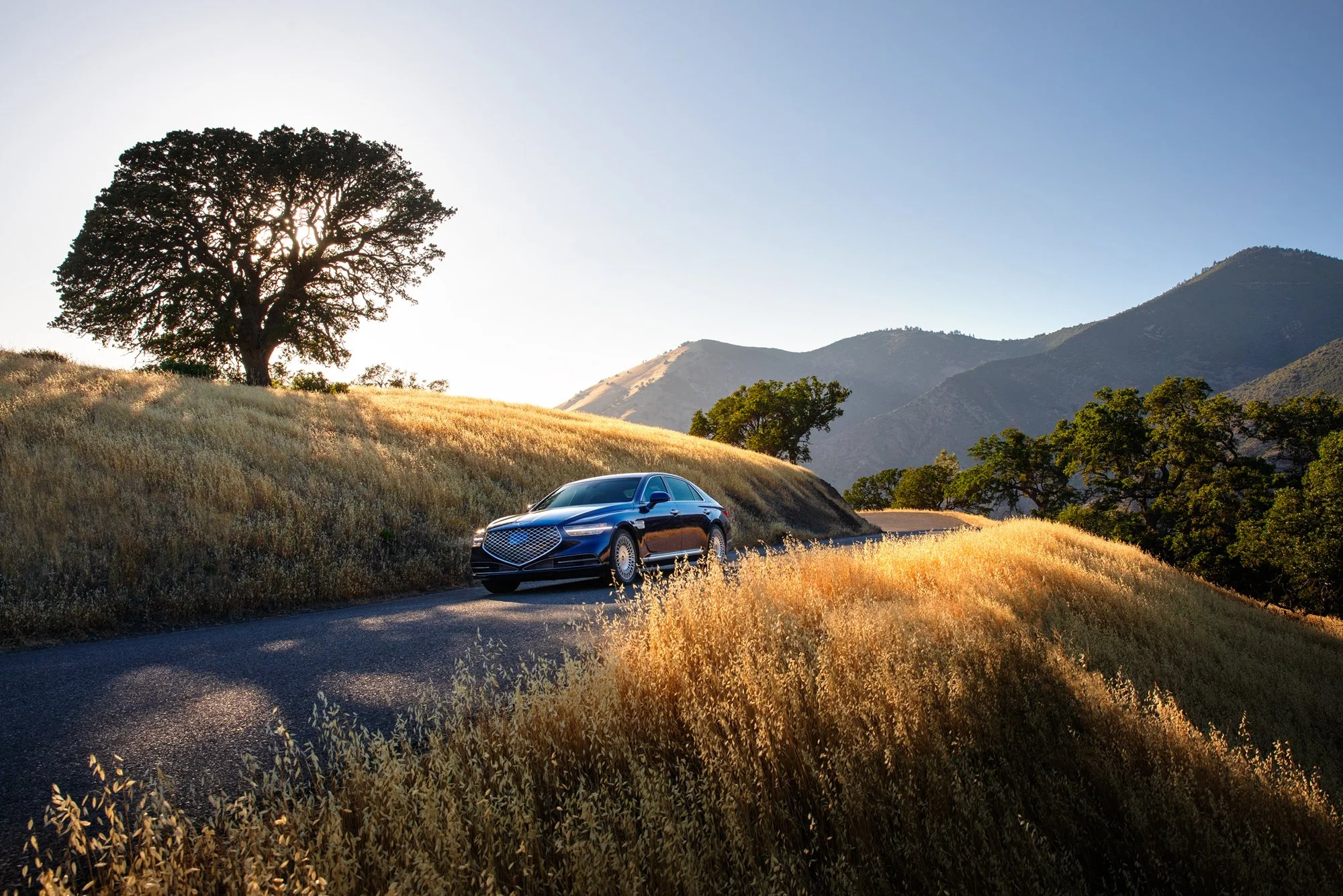 Anthony_Dias_Automotive_200.jpg