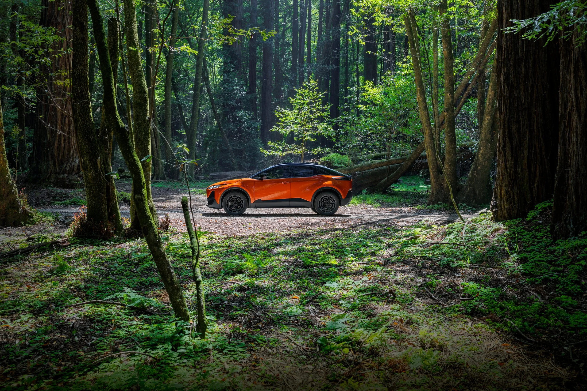 Anthony_Dias_Automotive_009.jpg