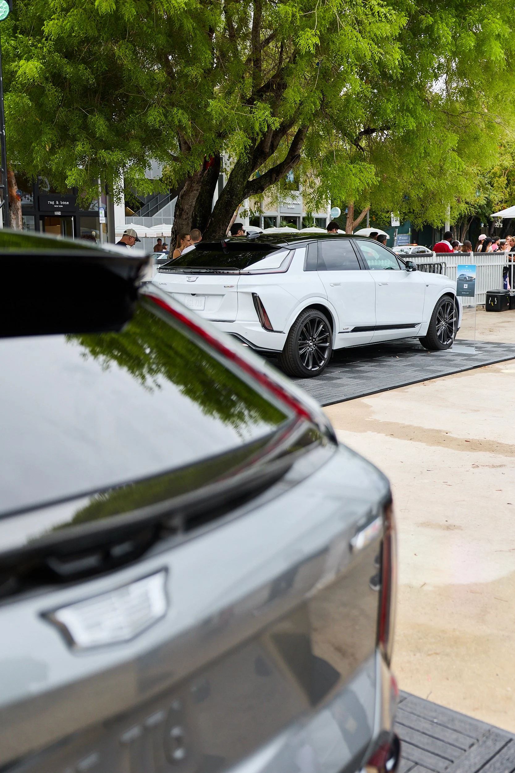 Anthony_Dias_F1Miami_057.jpg