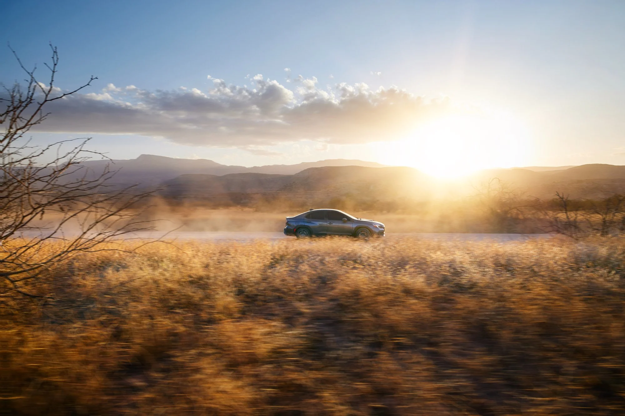 Anthony_Dias_Automotive_172.jpg