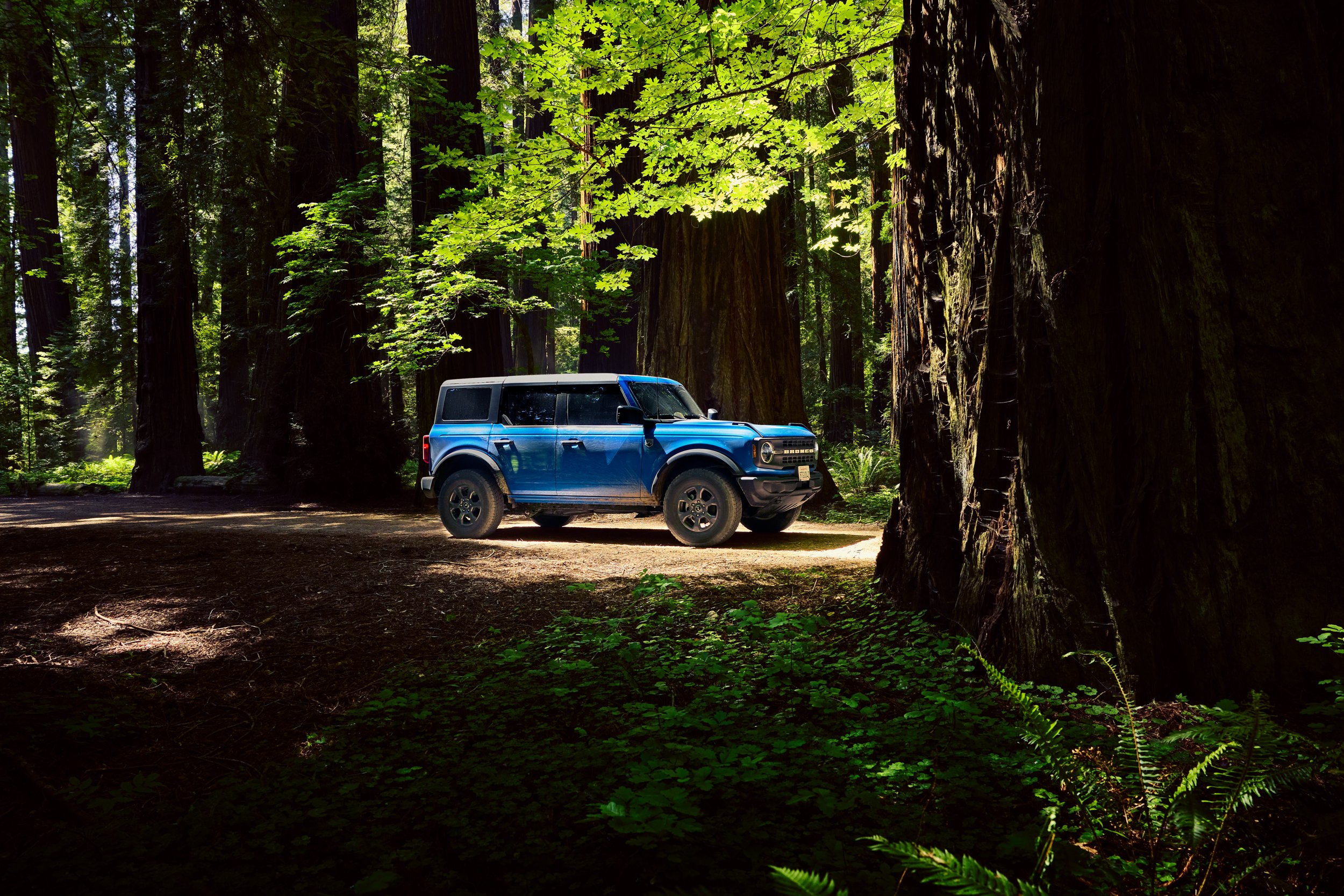 Anthony_Dias_Automotive_055.jpg