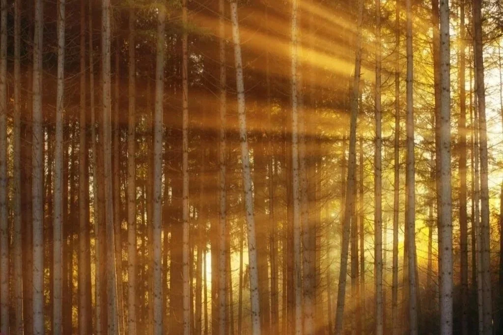 WhatsApp Image 2021-07-10 at 10.09.00.jpg