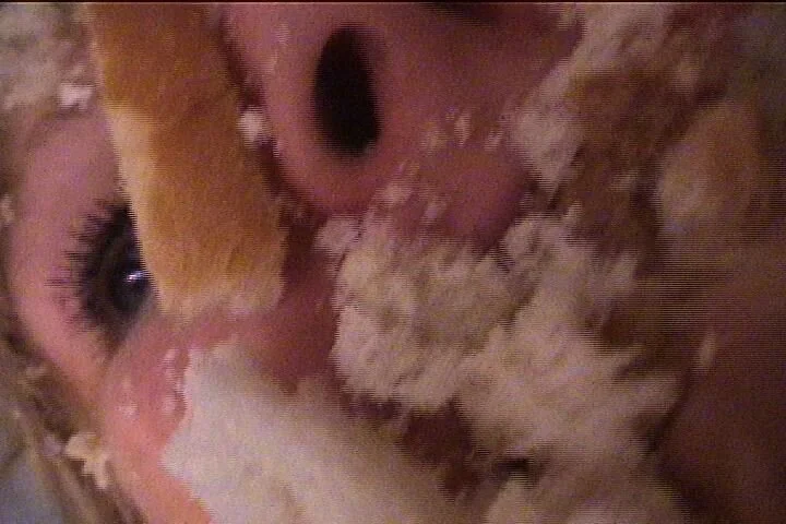 Maria Legault is a franco-ontarian performance artist living in Toronto. She has a PHD research creation and is interested in feminist art practices, identity art and performance art. This grotesque and abject performance pieces talks about insatiabl