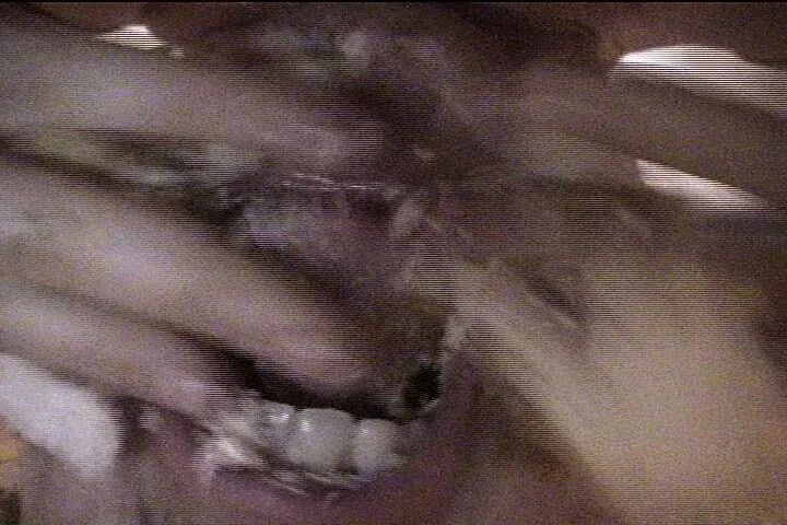 Maria Legault is a franco-ontarian performance artist living in Toronto. She has a PHD research creation and is interested in feminist art practices, identity art and performance art. This grotesque and abject performance pieces talks about insatiabl
