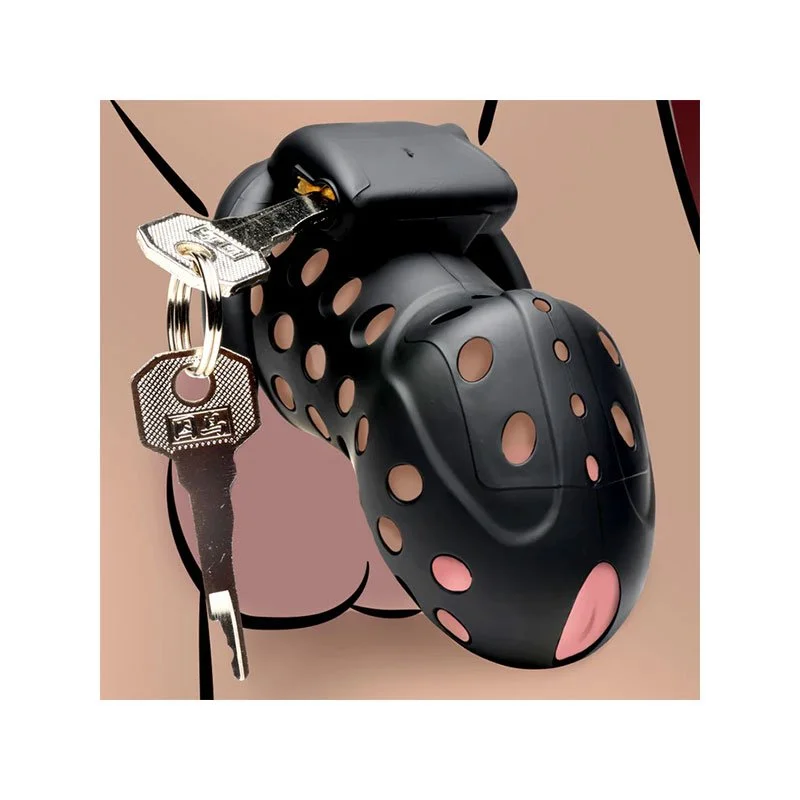 Master-Series-Lock-Down-Chastity-Cage-AH599-keys.jpg