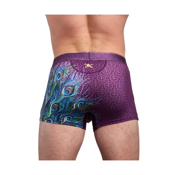 peacock-trunk-back.jpg