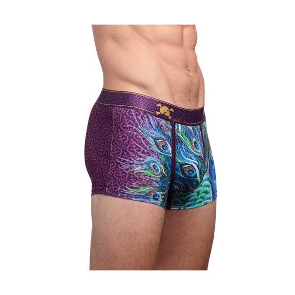 peacock-trunk-angle.jpg