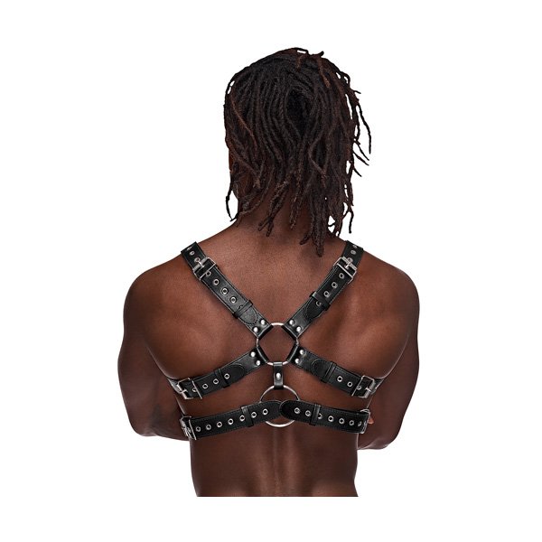 gemini-back.jpg