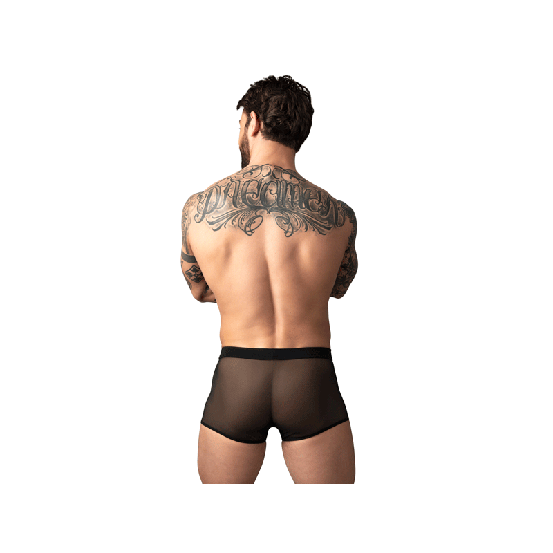 mesh-2.0-black-back.gif