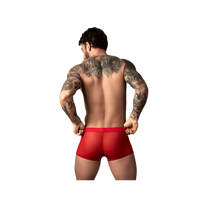 mesh-2.0-red-back.gif
