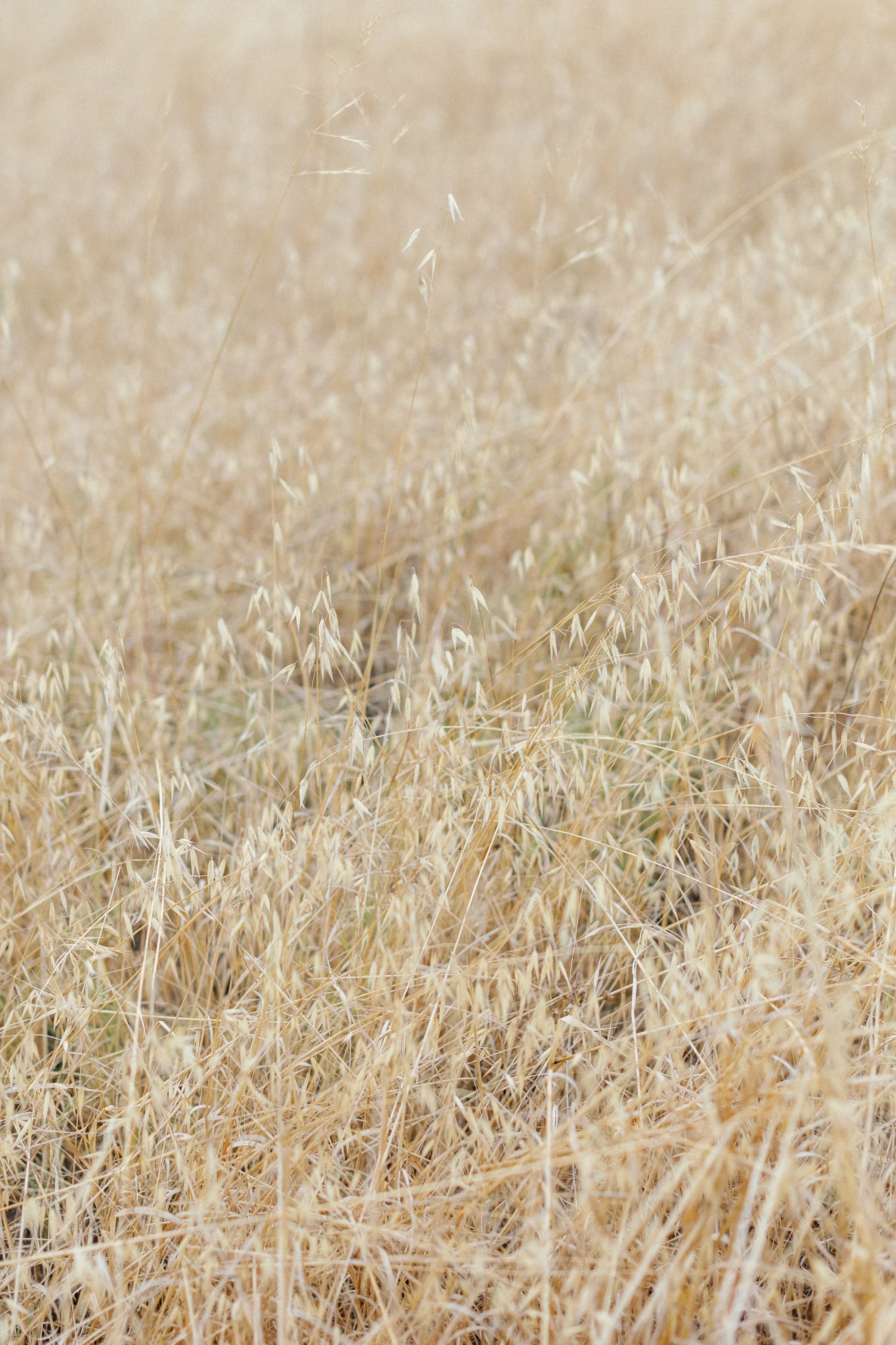 Hector and Alicyn's San Diego Engagement Session-6.jpg