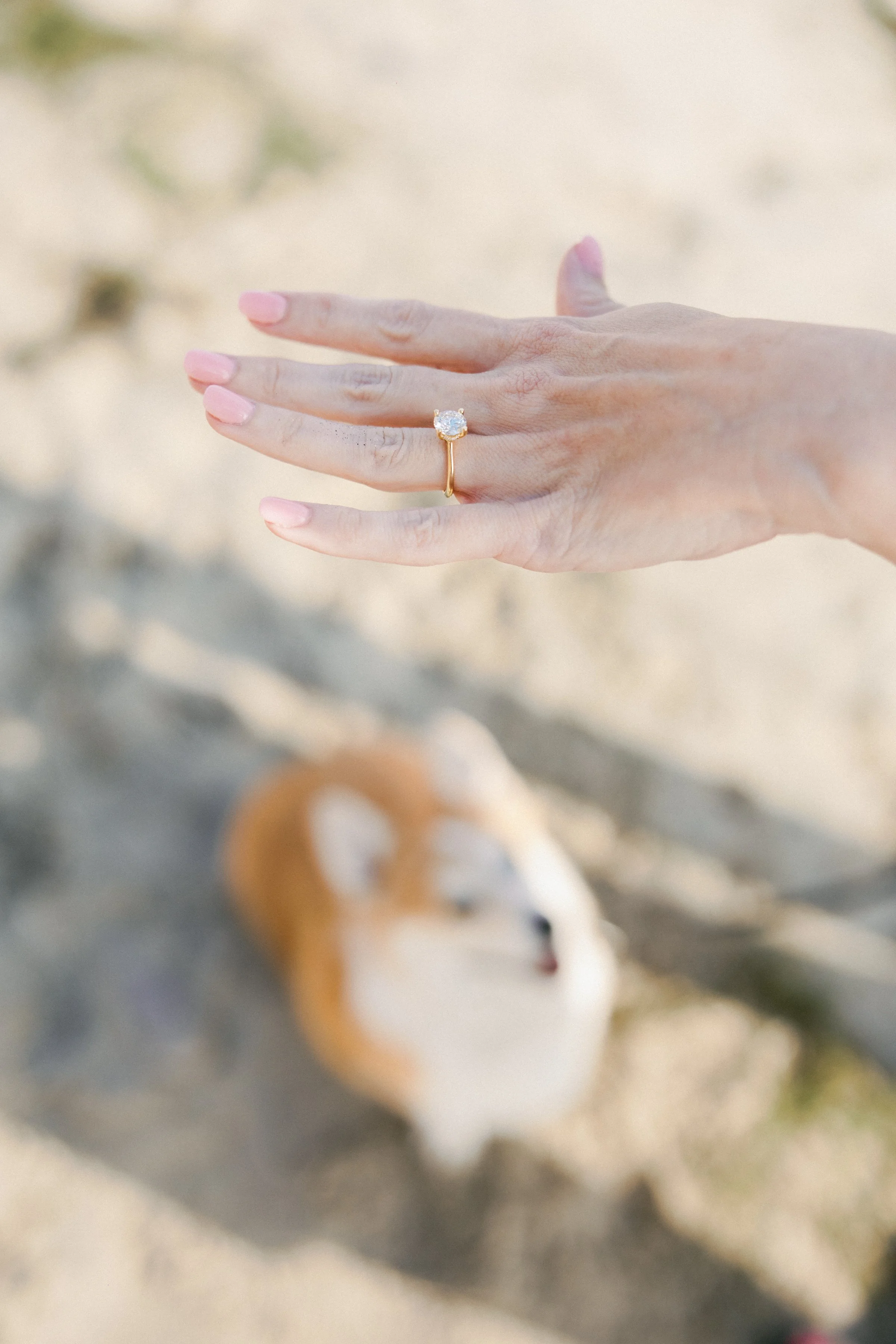 Matthew Powell Cardiff by the Sea Proposal-5.jpg