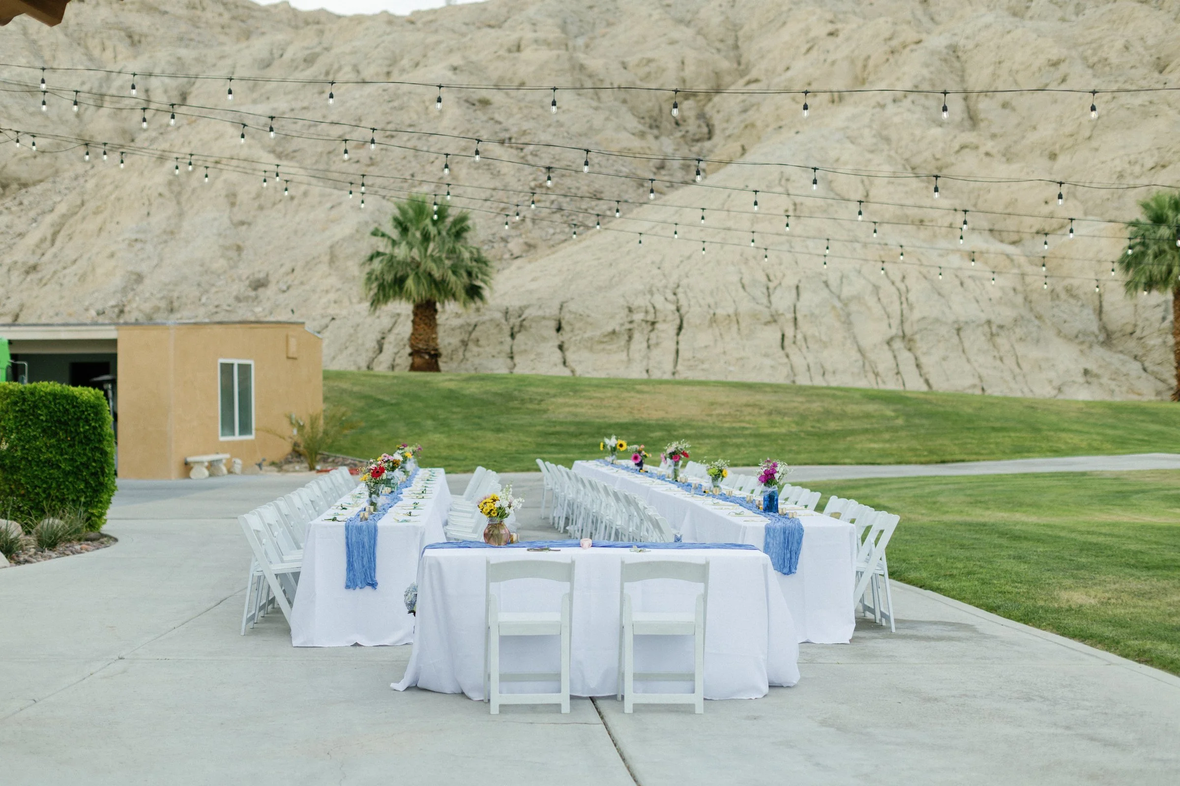 Clair and Chris Sneak Peaks-19.jpg