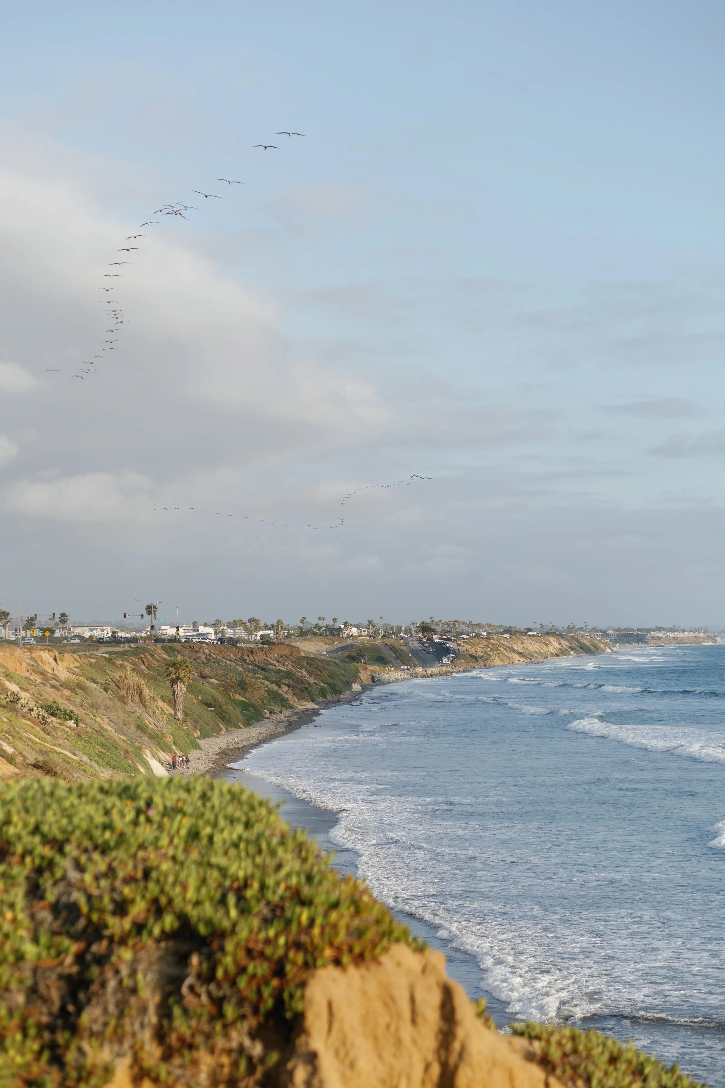 Broc and Ashley's Carlsbad Proposal-1.jpg