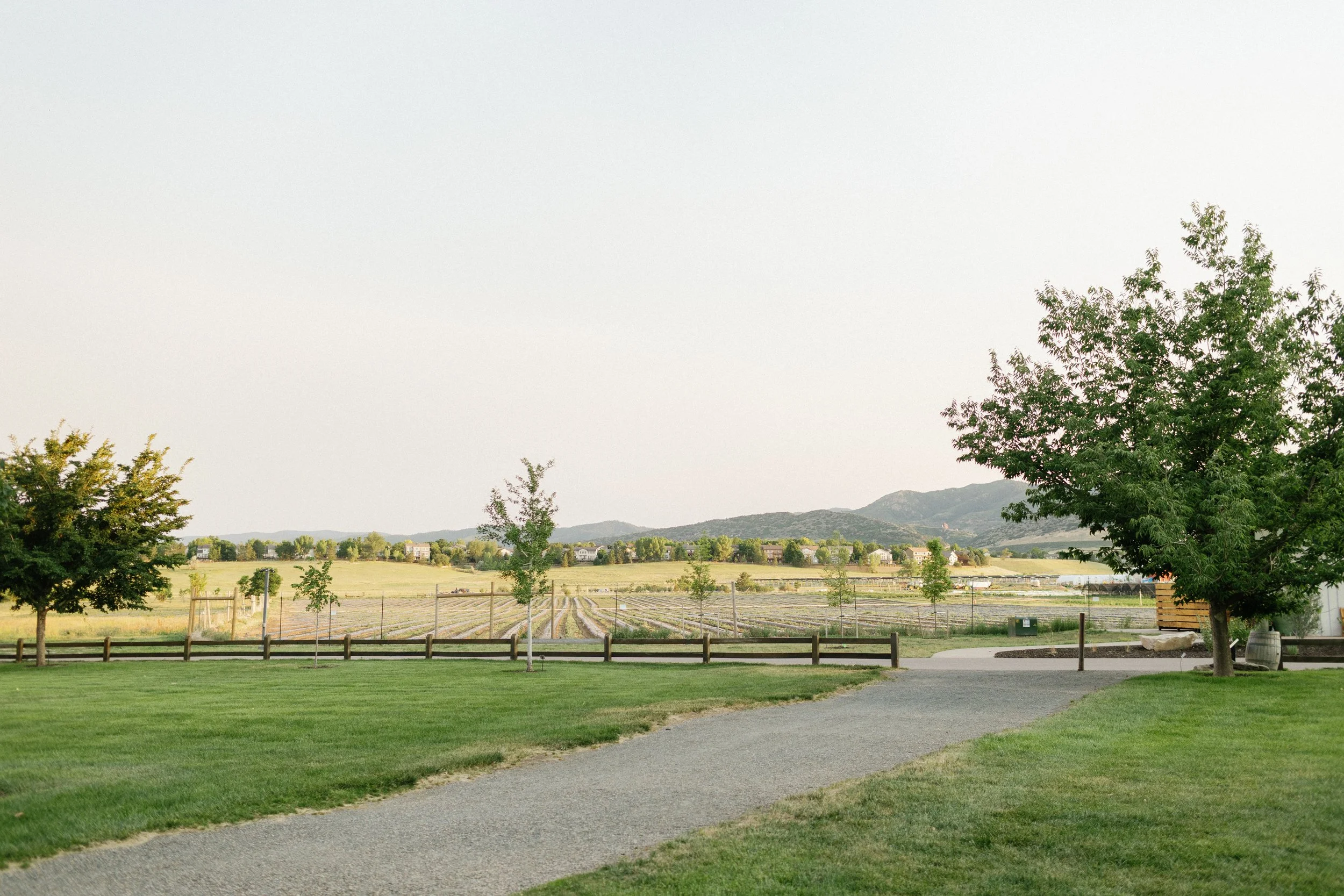 Jakson and Carlie's denver botanic gardens at chatfield farms Wedding-33.jpg