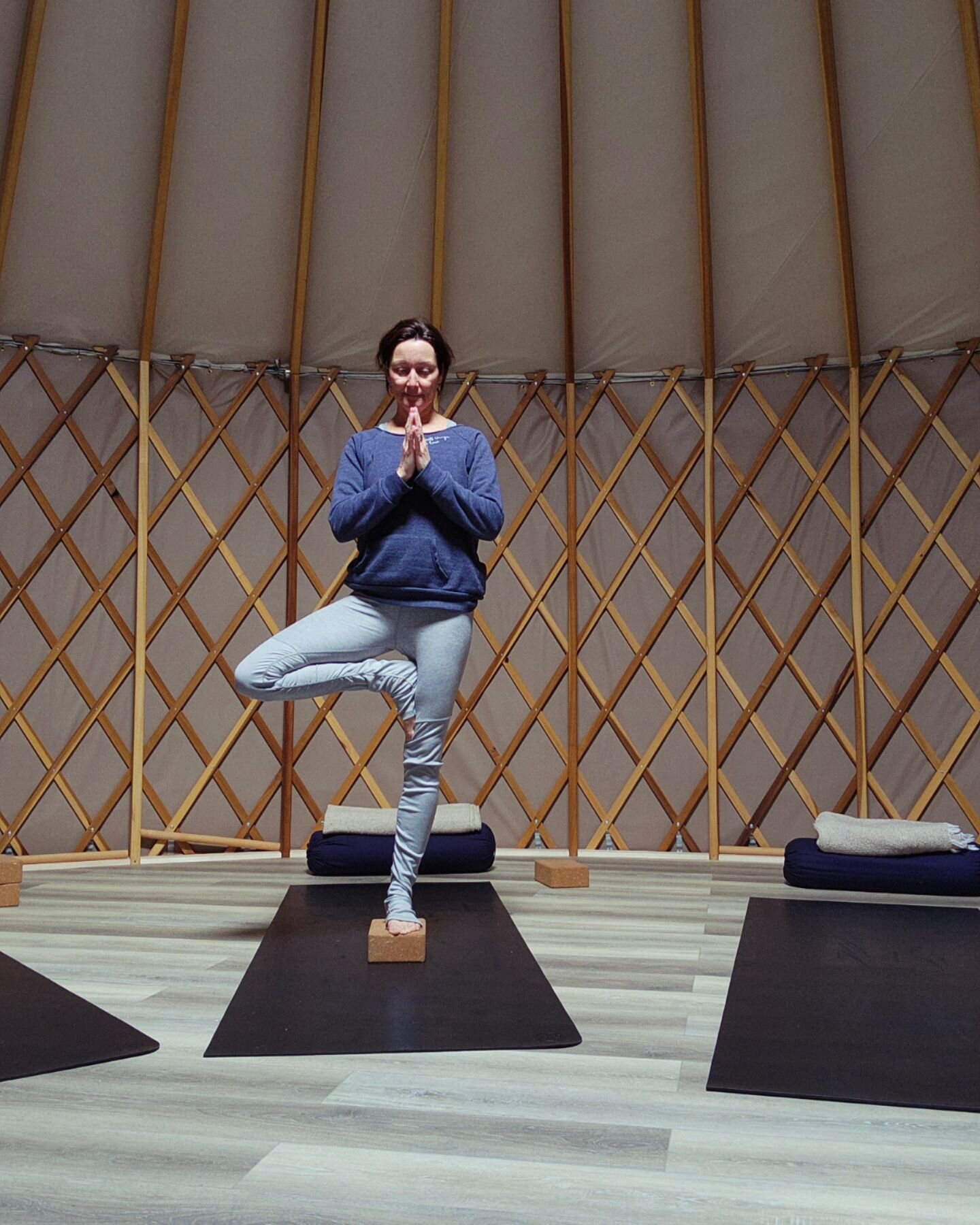 If you want to lose yourself completely into a pose may I suggest tree pose. Extra focus and concentration to add a block and a flow. Take a break. Just breathe. #wobblesandall #standtall