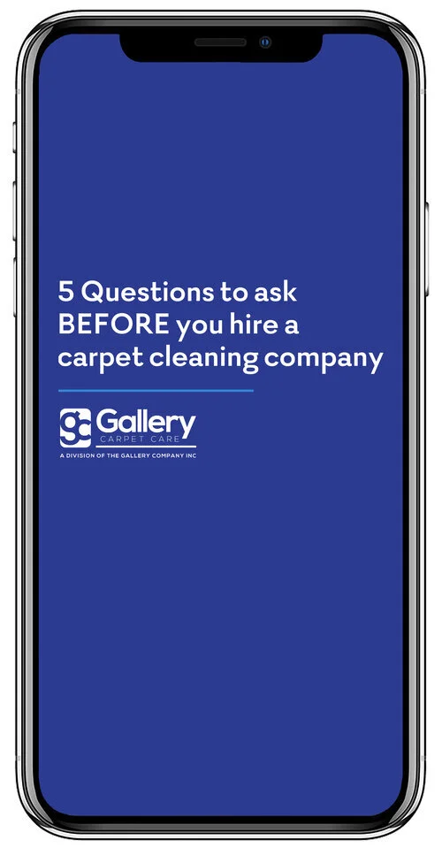 Zionsville Carpet Cleaners Carpet Cleaning & Stain Removal Gallery