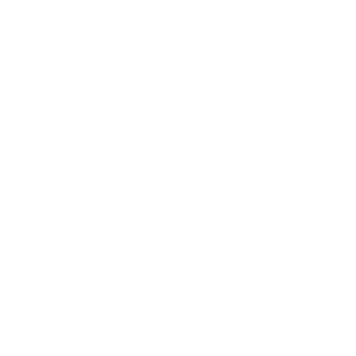 Zionsville Carpet Cleaners Carpet Cleaning & Stain Removal Gallery