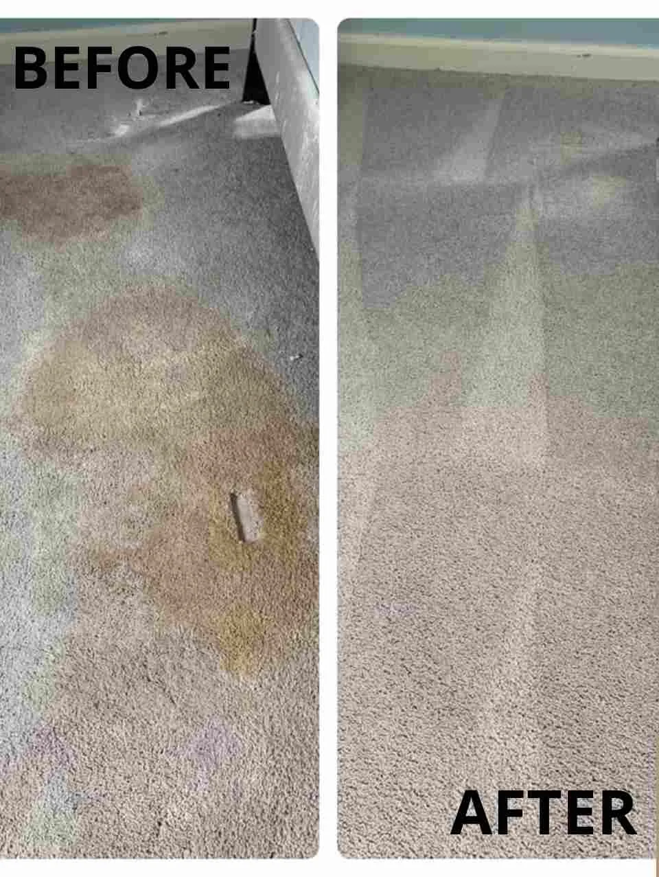Carpet Cleaning Services Zionsville, IN Gallery Carpet Cleaning