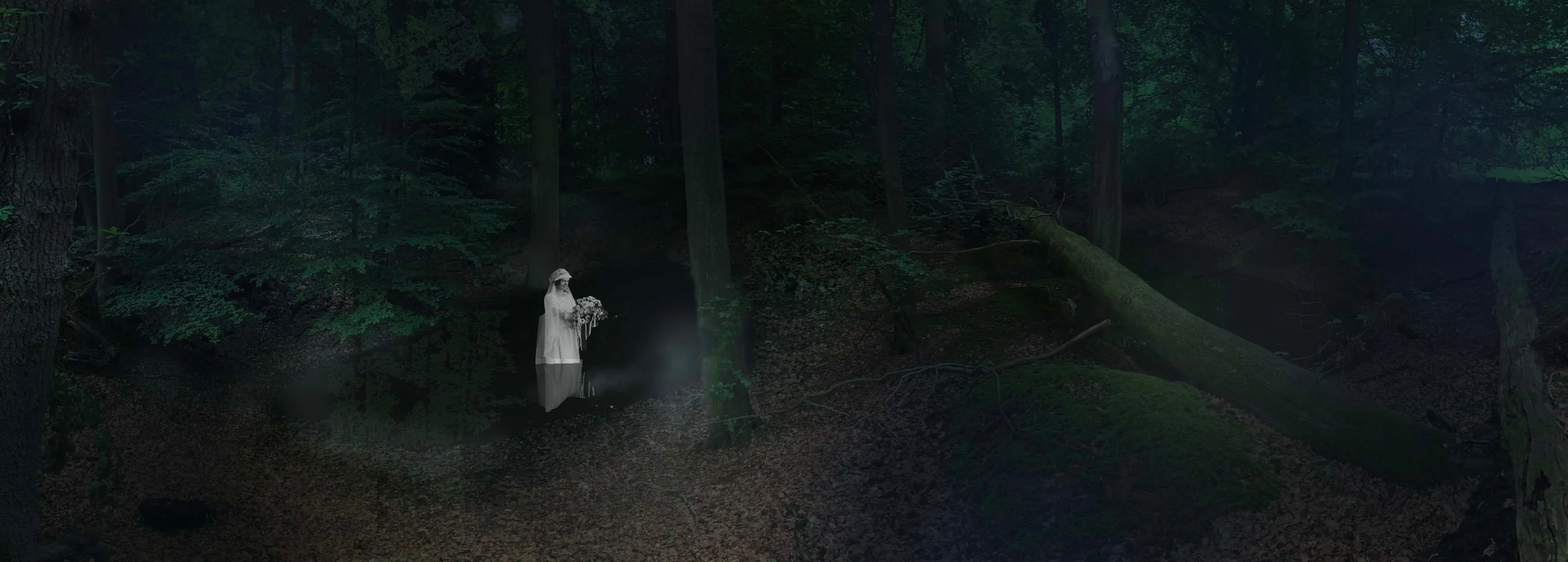 FAKE POND SCENE CONCEPT 