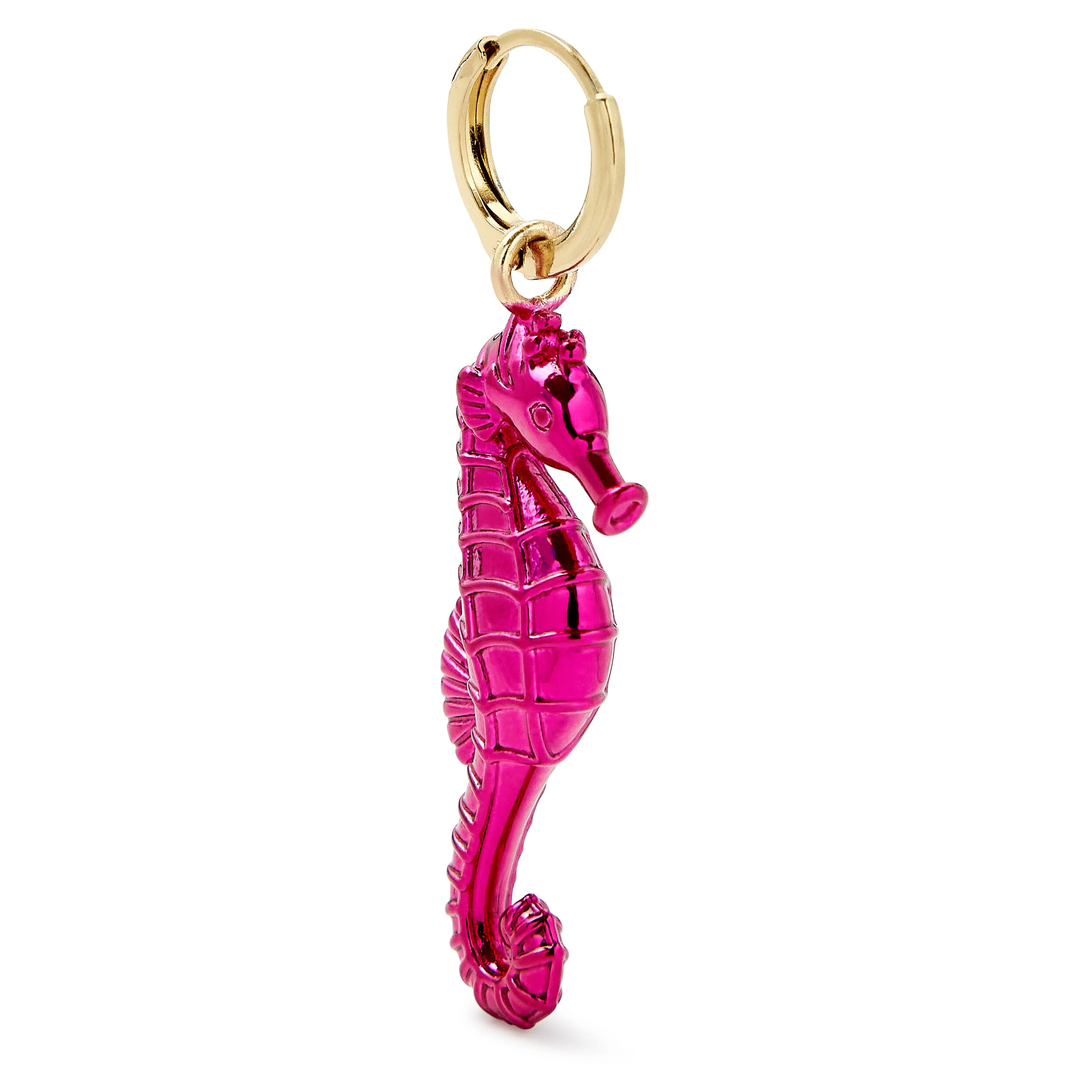 13-seahorse.jpg