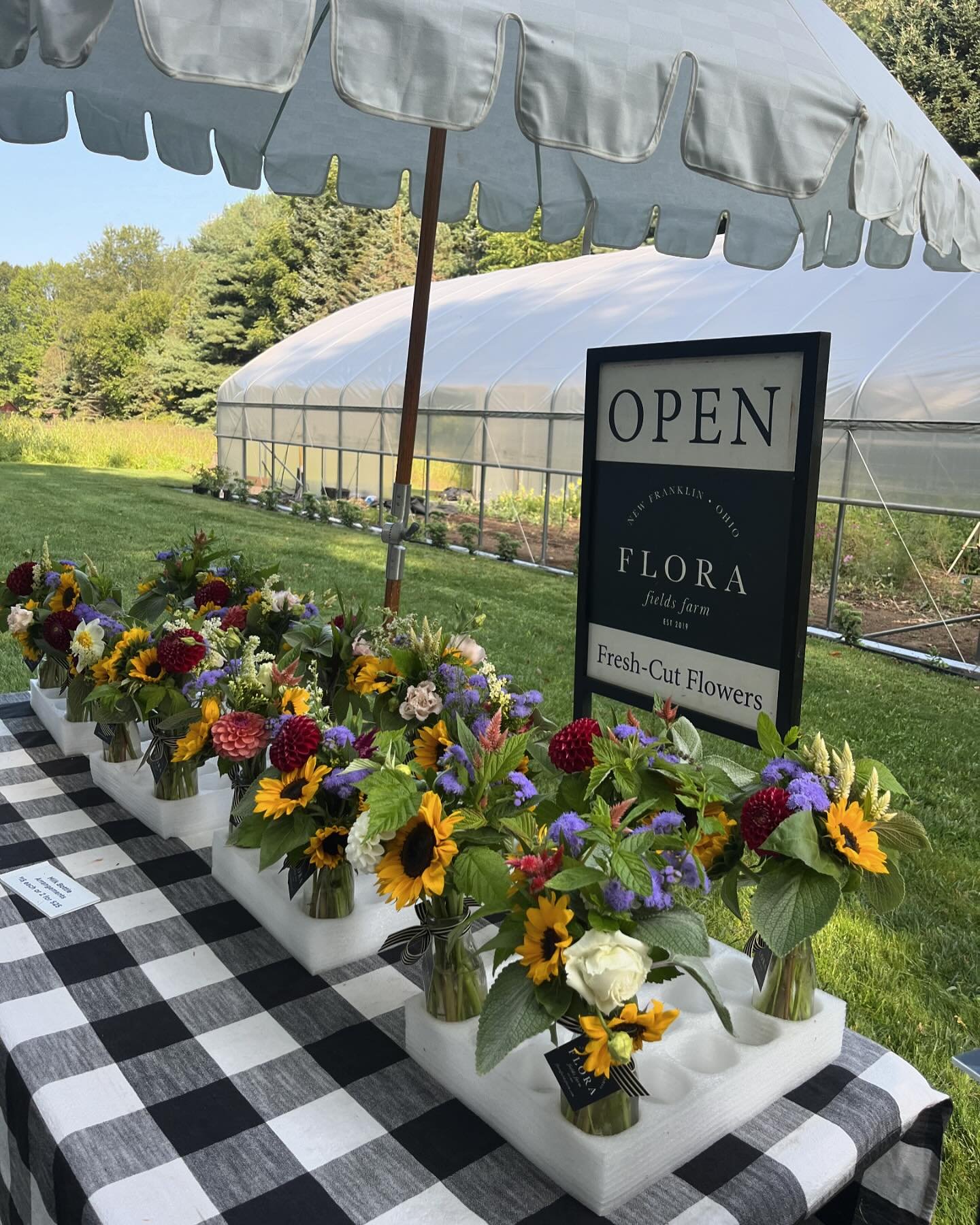 OPEN, Friday, August 23 at 9:30 AM until sold out! ✨All milk bottle arrangements $15 each or two for $25! #dahliaseason #sunflowers🌻