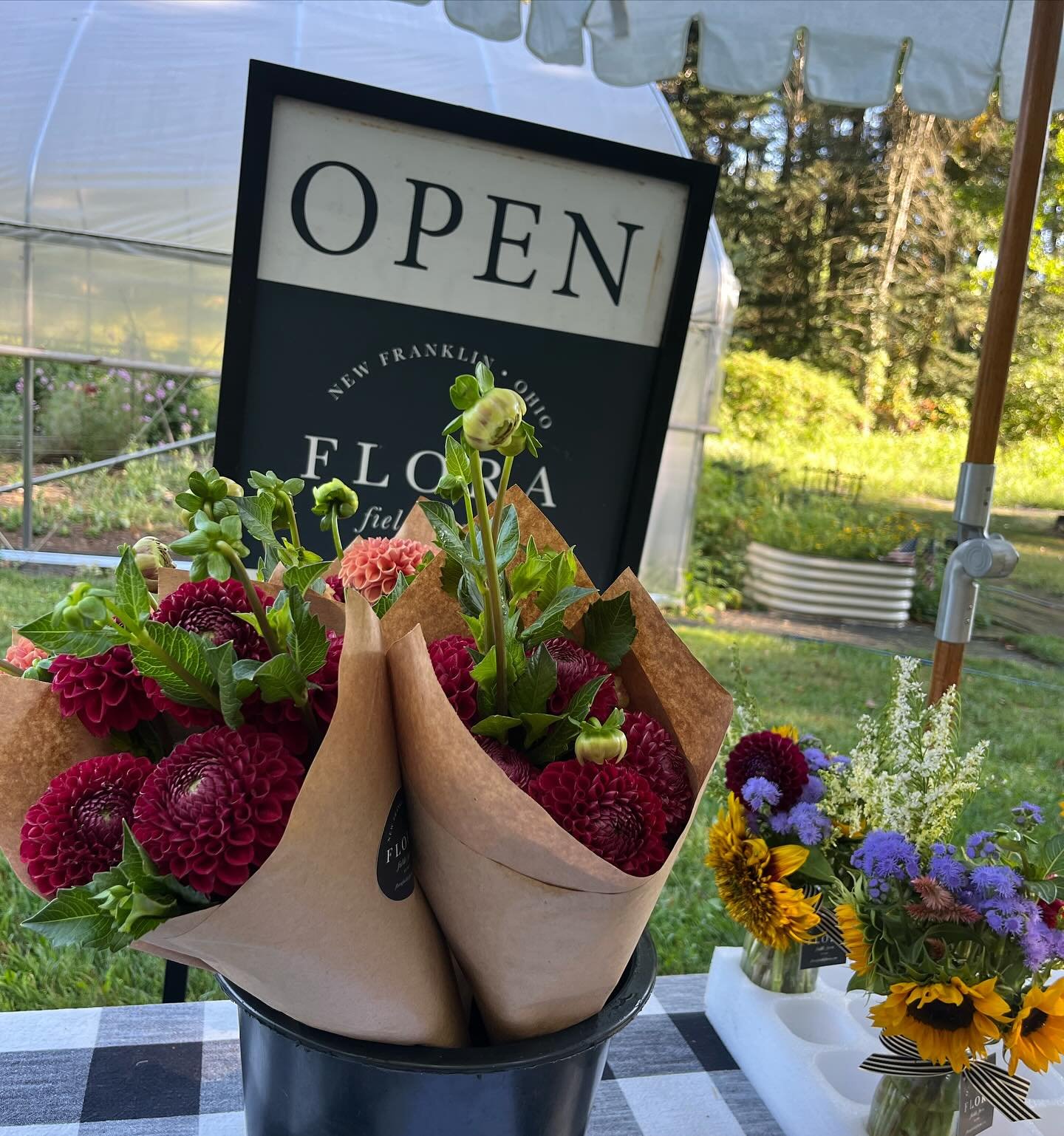 Just-picked , five stem Dahlia bouquets out on the stand this Sunday morning, September 1, 9am. Time to get out that beautiful vase! All wrapped bouquets are $20 each. We have a few milk bottle arrangements as well and will post when sold out. #dahli