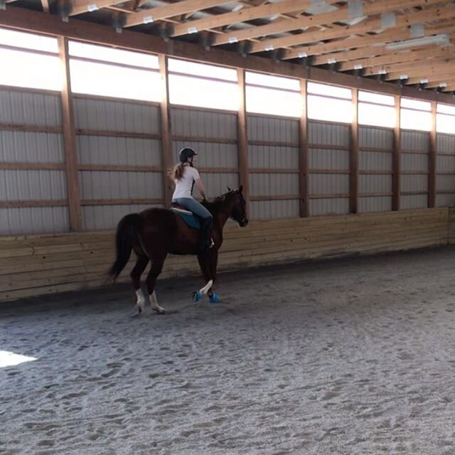 Had such a good session with this rider. She has had pain while riding for quite a while due to some falls and a car accident. The first video shows before any interventions, the second shows with therabands on. What changes do you notice?
#physicalt