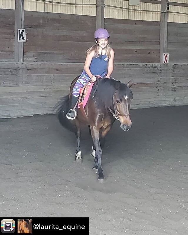 Notice the red Franklin Ball under the riders knee, to encourage her to not grip with her knee while in two point.

Repost from @laurita_equine Wonderful weekend at the barn! Thank you @dcsphysicaltherapy for working with a few of our students! 😊
.W
