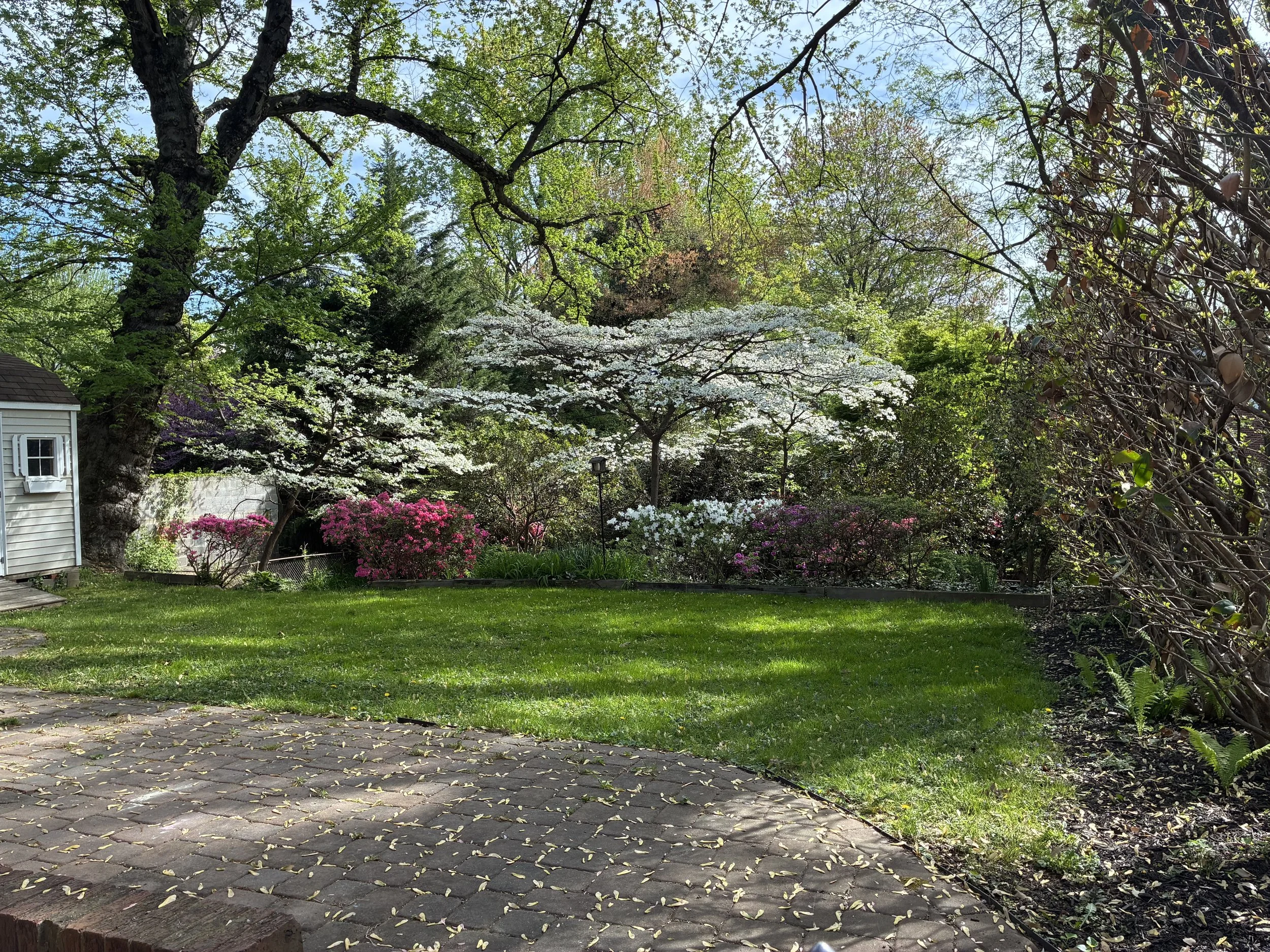 9409 Woodland Dr-0047.jpg