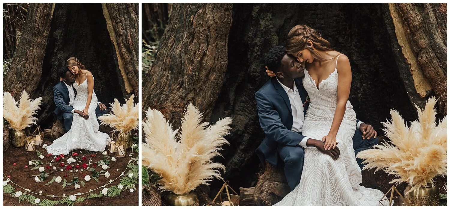 Big-sur-hayley-page-gown-redwood-elopement.jpg
