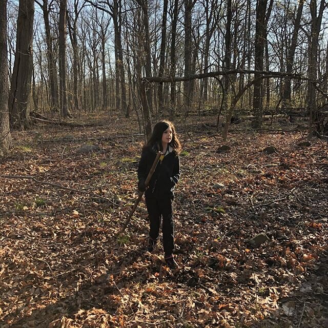 Morning in the reservation chasing deer