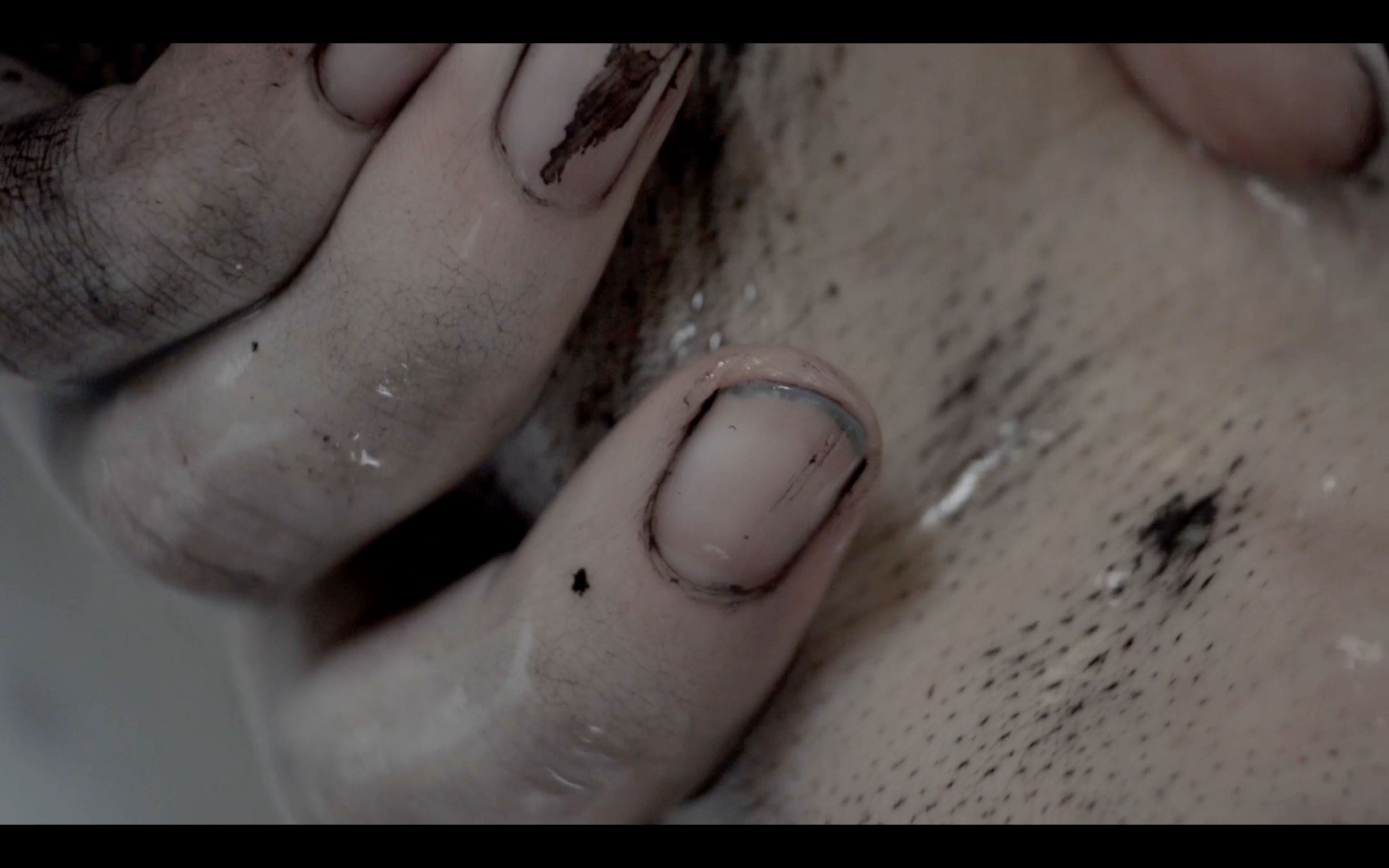 Screen Shot 2020-04-21 at 11.55.34 PM.png