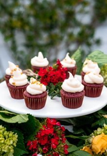 Mini Cupcakes - Staged.JPG