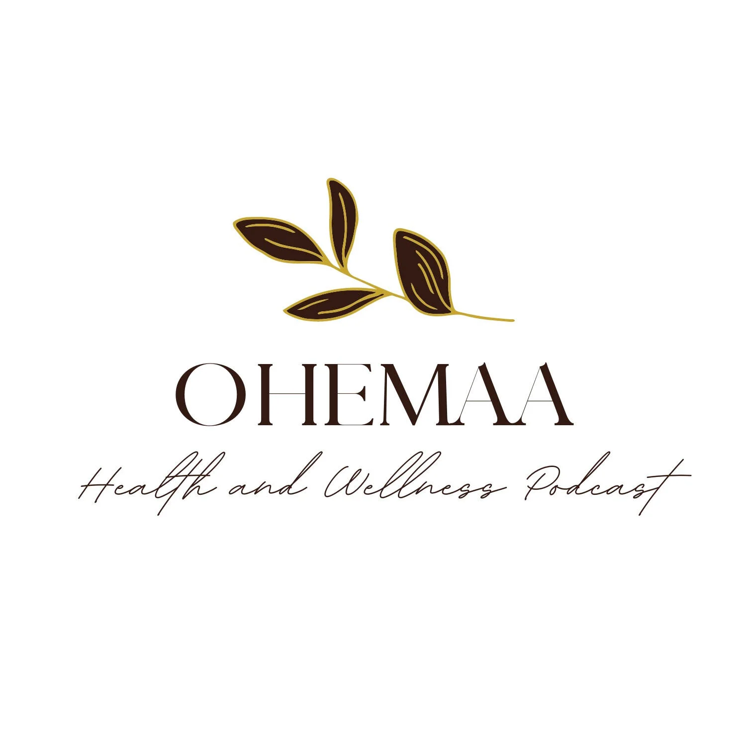The Ohemaa Health and Wellness Podcast Team