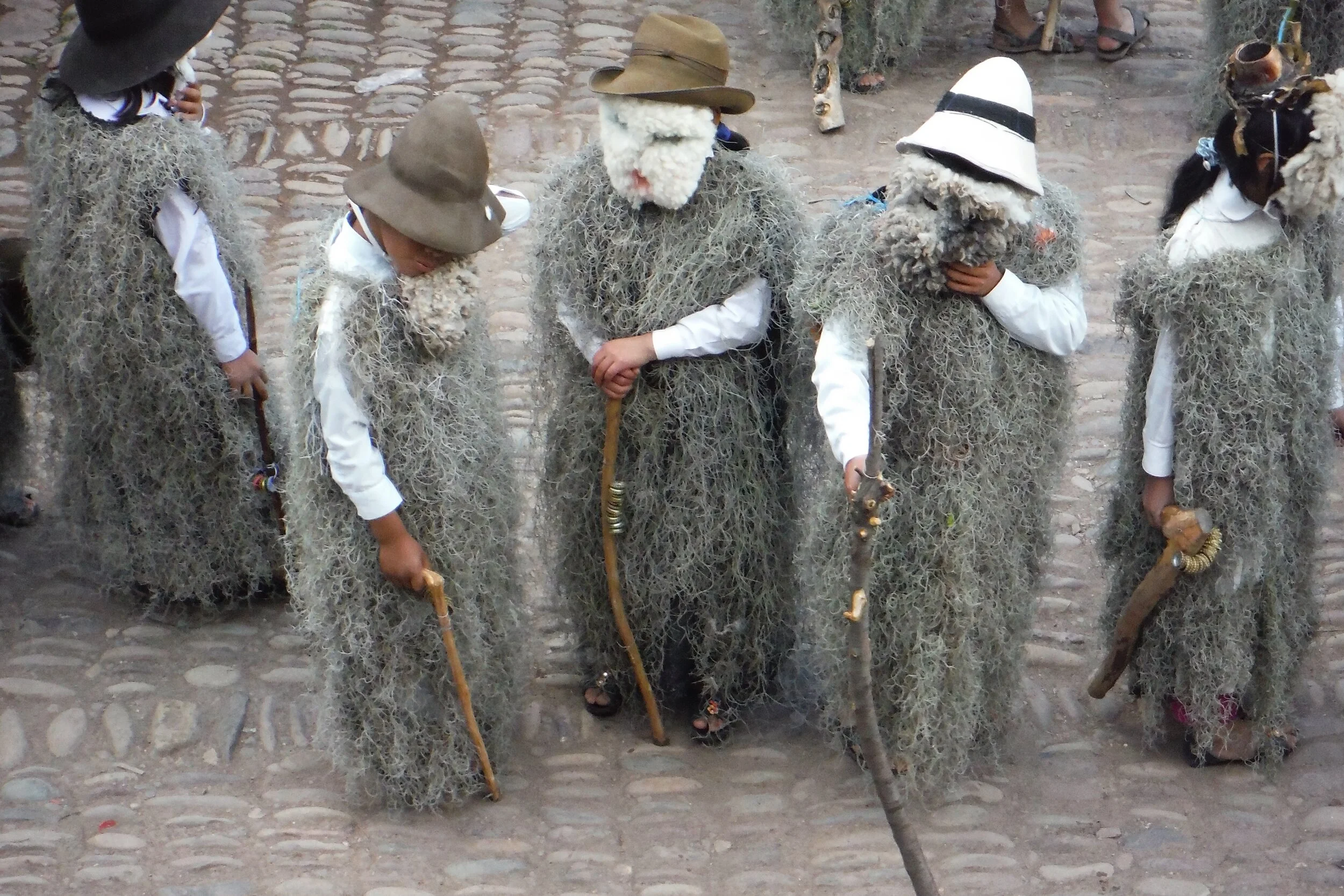 kids in sheep clothing.jpeg