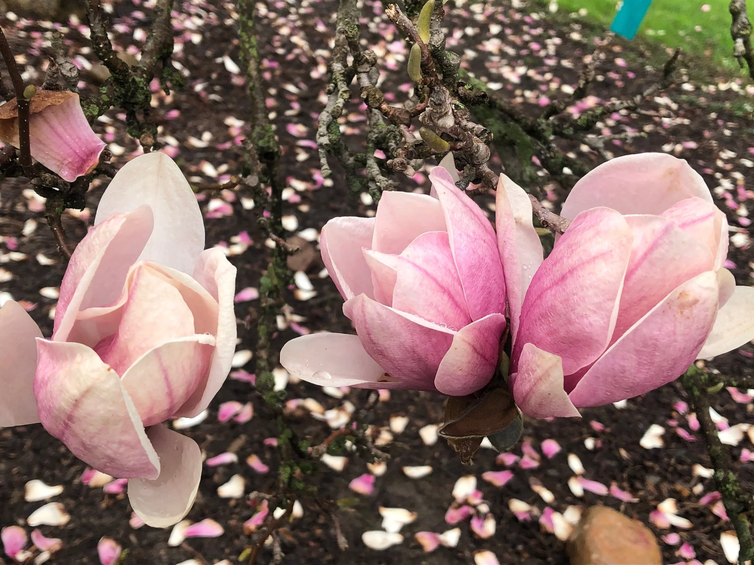 Welcome to the May Newsletter