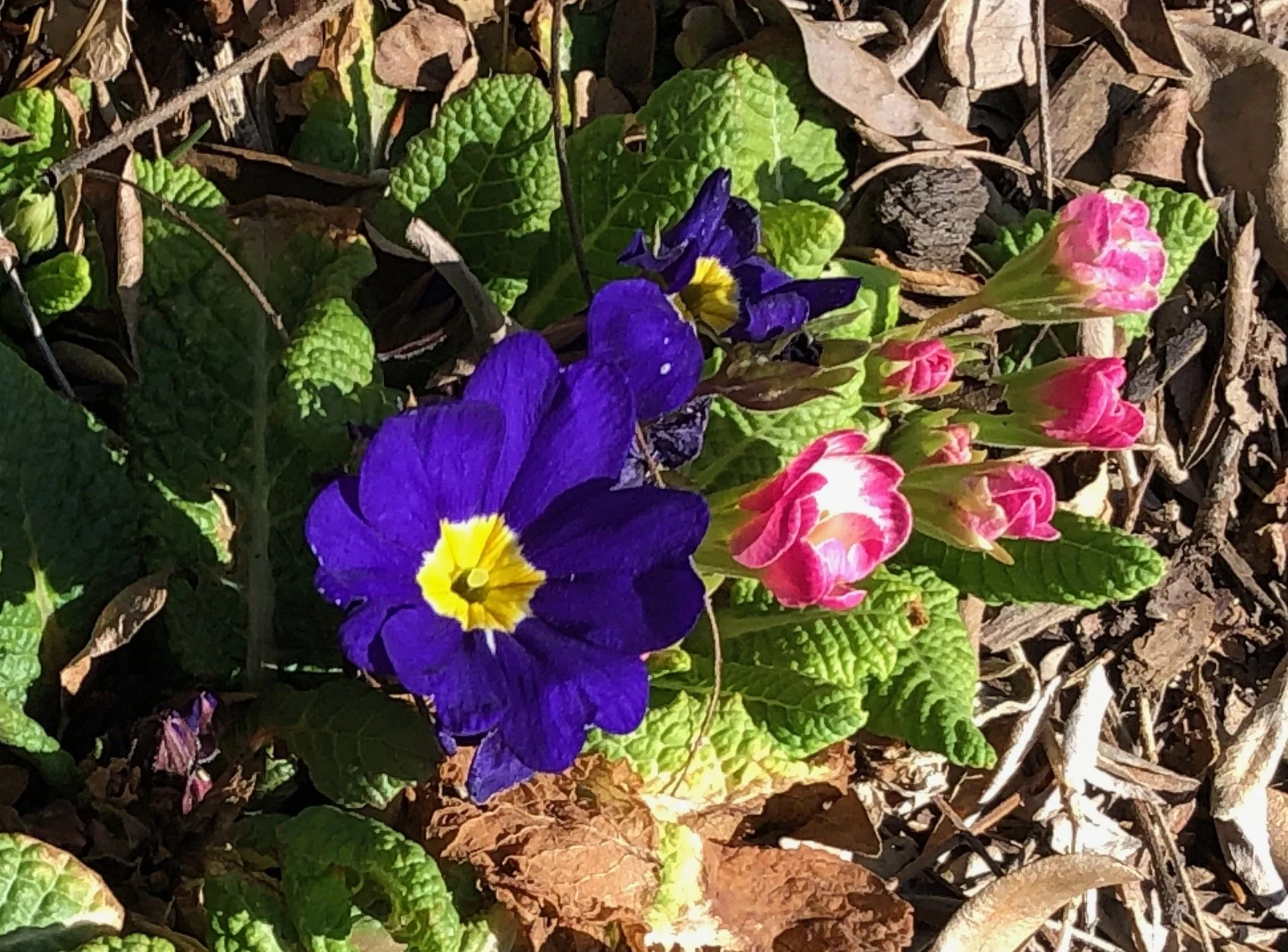 Welcome to the April Newsletter