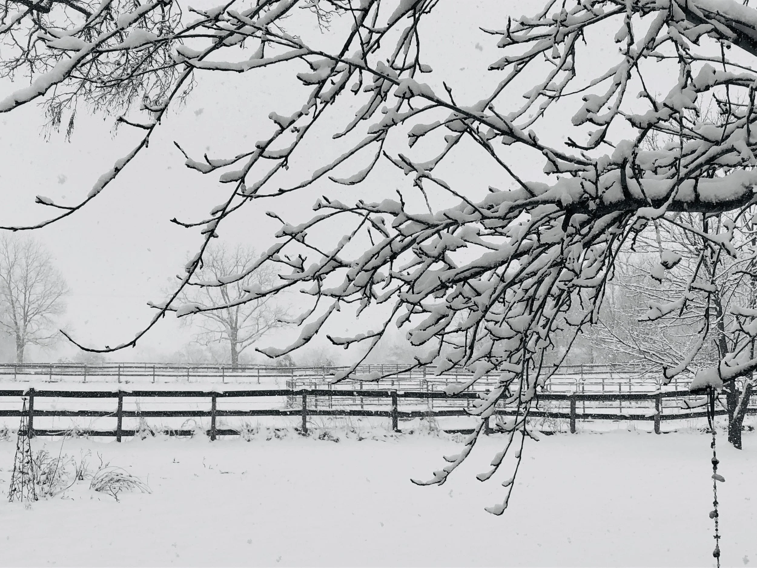 Welcome to the February Newsletter