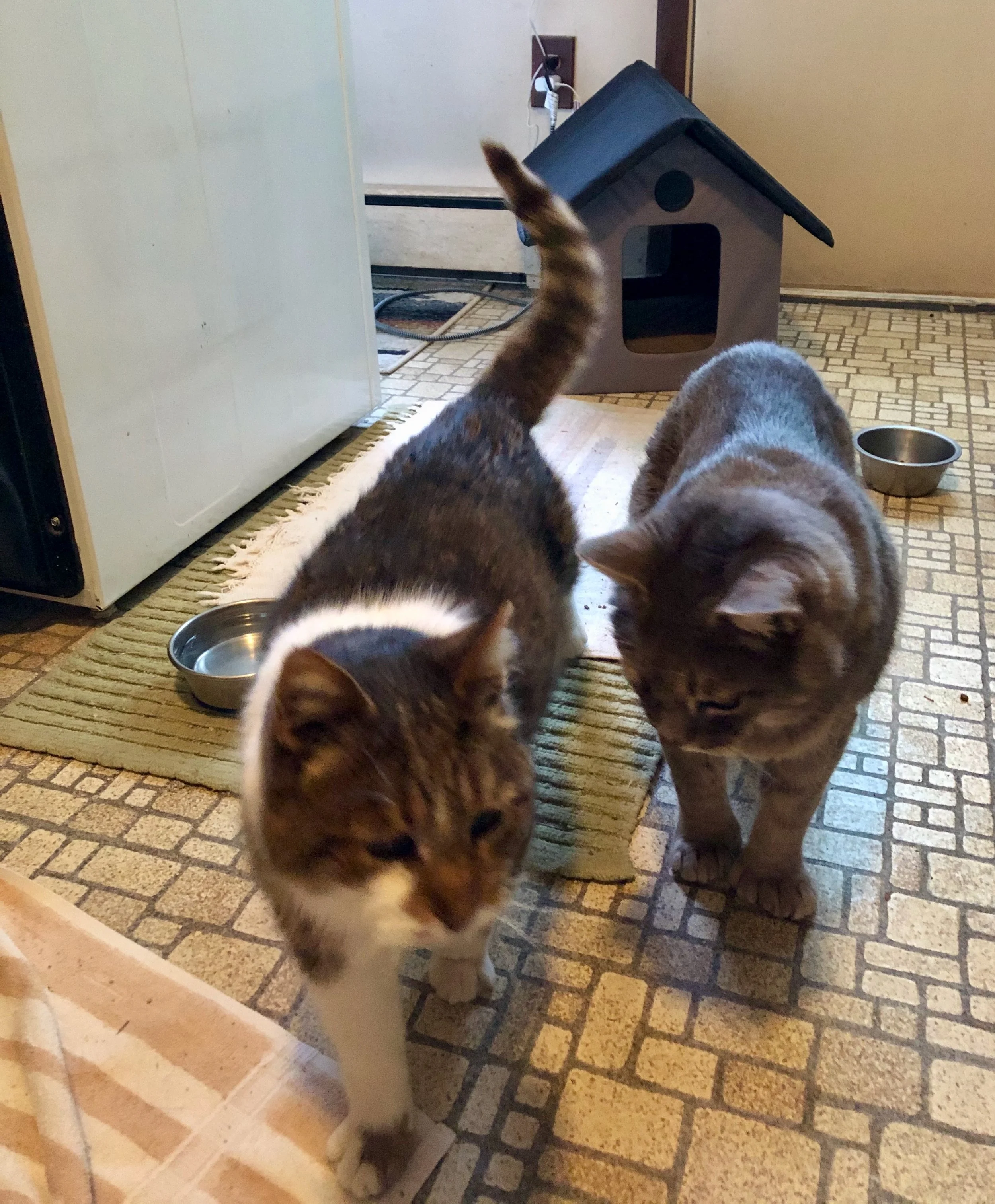 Welcome to the January Newsletter