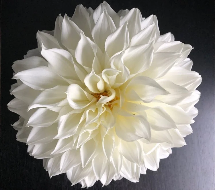 Welcome to the October Newsletter   