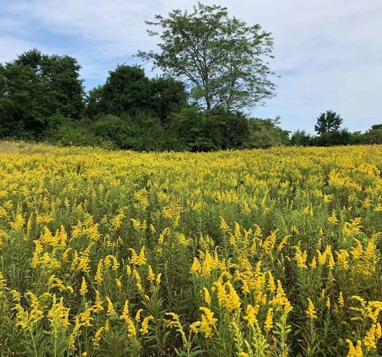 Welcome to the September Newsletter    